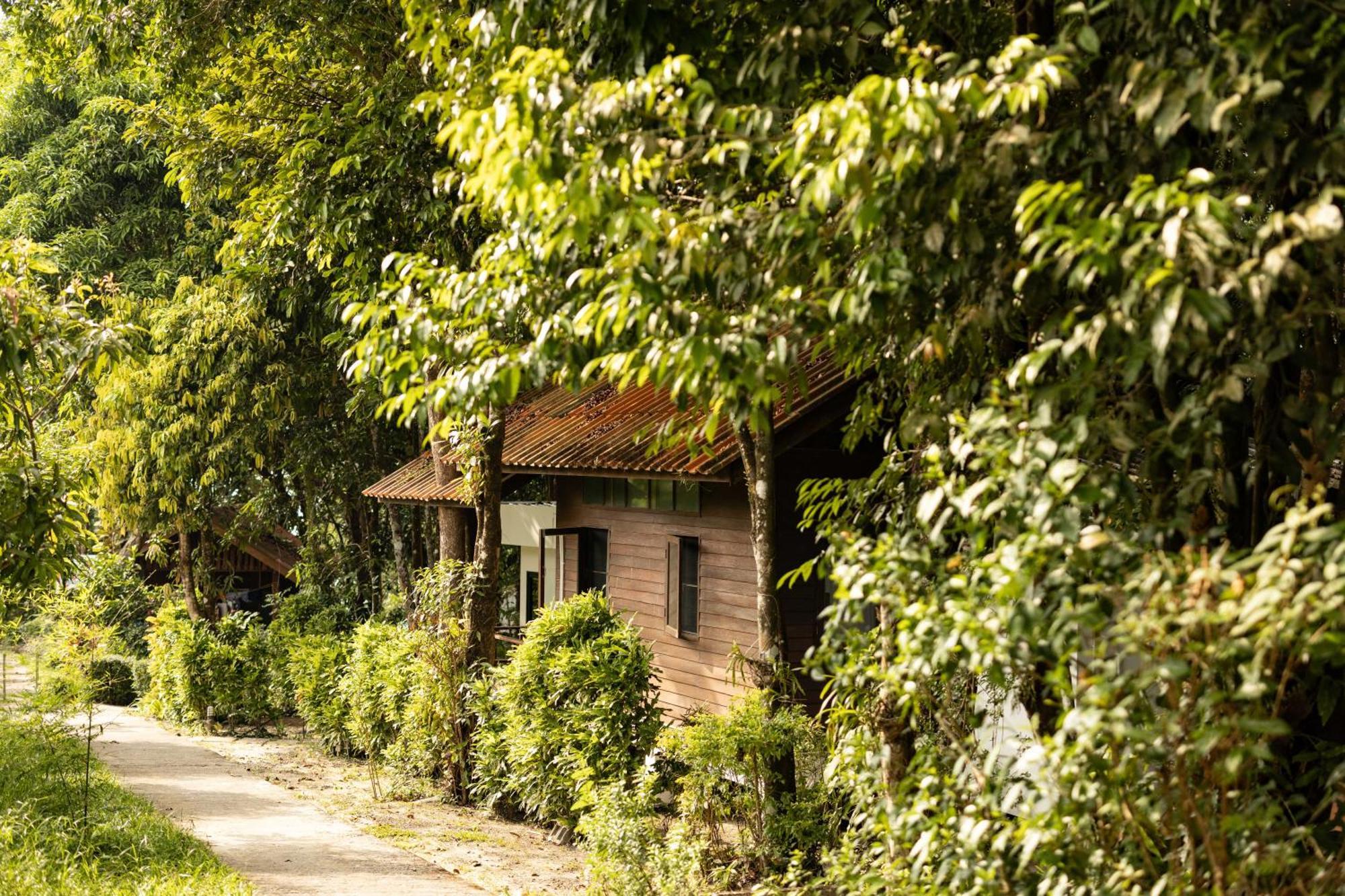 Barefoot Project Formerly Baan Klong Kleng Koh Phayam Εξωτερικό φωτογραφία